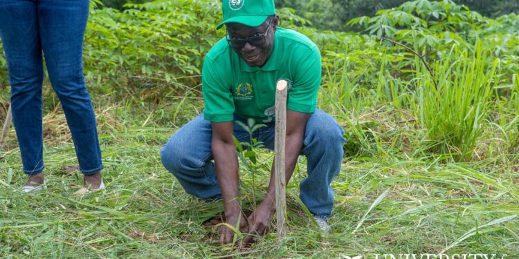 ucc-vc-advocates-more-tree-planting-for-a-greener-future