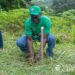 ucc-vc-advocates-more-tree-planting-for-a-greener-future