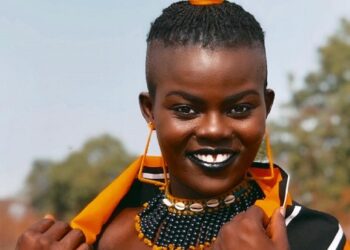 Use celebrities to rather educate youth on the dangers of alcohol – Wiyaala to FDA