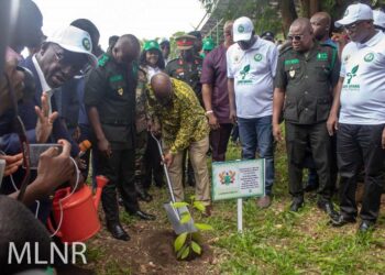 Green Ghana: Ghana Commits to 64 Million Tonnes Carbon Reduction