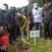 Green Ghana: Ghana Commits to 64 Million Tonnes Carbon Reduction