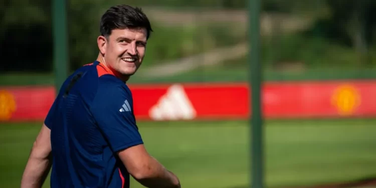 Criticism of England at Euros 'ridiculous' - Maguire