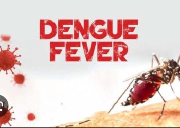 Dengue is not Communicable, Don't live in fear - Dr. Elizabeth Abbew
