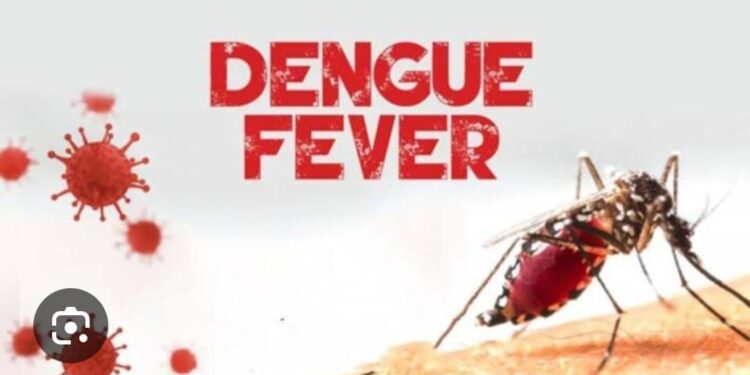 Dengue is not Communicable, Don't live in fear - Dr. Elizabeth Abbew