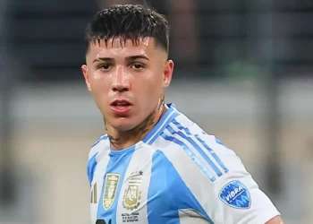 Fernandez faces disciplinary action over alleged racist chant