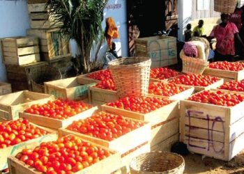 Inflation: Okro, tomatoes among others see price hikes in June 2024