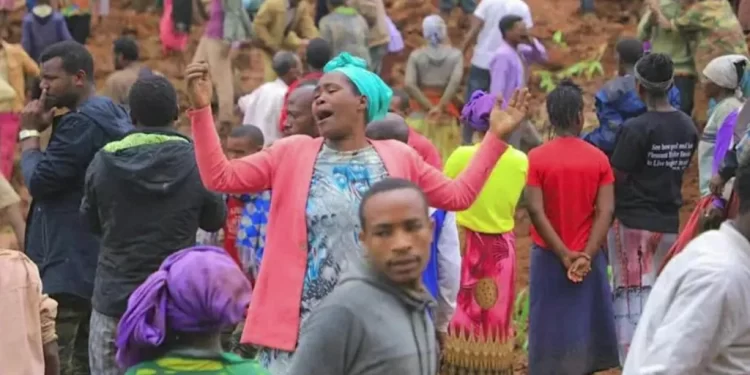 Ethiopia landslide rescuers pull 229 bodies from mud