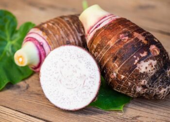 Project to Revive Taro Production in Ghana launched at UCC