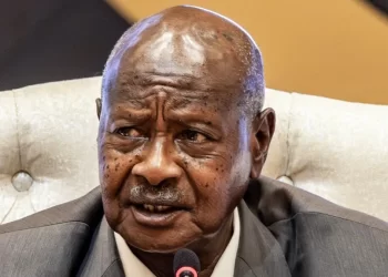 Ugandan TikToker jailed for insulting president