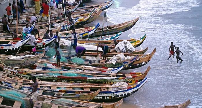 Dr. Angela Lamptey, a Senior Lecturer at the Department of Marine and Fisheries Science at the University of Ghana, emphasized the critical need for concerted action to prevent a complete ban on Ghana's fish exports to the European Union (EU).