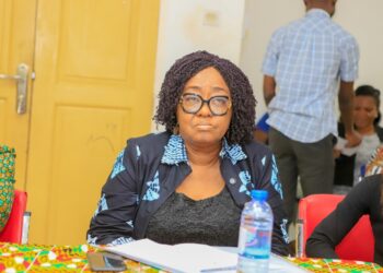 “Speed up passage of Affirmative Action Bill – Gender Advocate to Parliament”