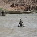 Dam bursts in war-torn Sudan killing 60