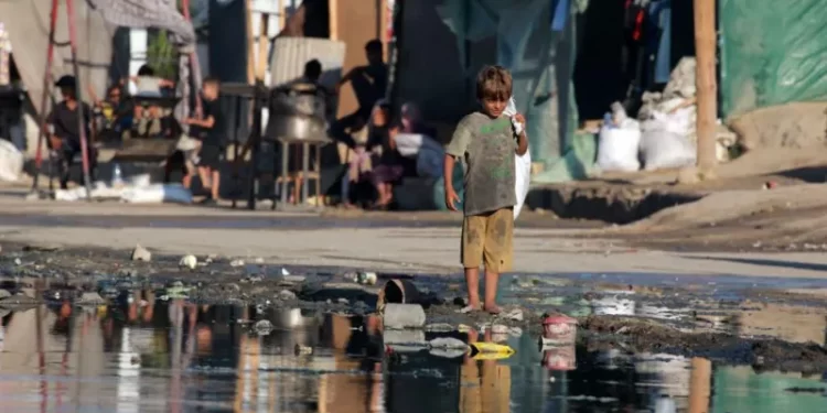 Diseases spread in Gaza as sewage contaminates camps and coast