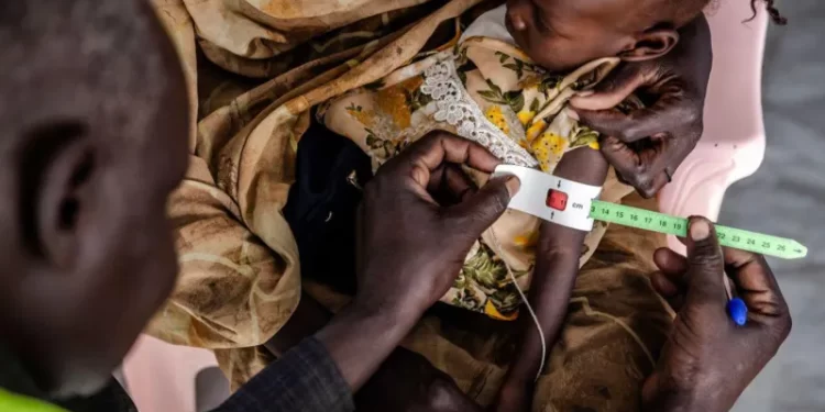 Famine hits Sudan as peace talks fall short yet again