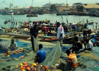 In an attempt to address the rapidly declining fish stocks and enhance fisheries management, the Fisheries Commission has launched a four-day enforcement training program for members of the Landing Beach Enforcement Committee (LABEC).