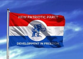 The Director of Elections for the New Patriotic Party (NPP), Evans Nimako, has revealed that the party's election committee is currently investigating the provisional voters register provided by the Electoral Commission (EC) of Ghana.