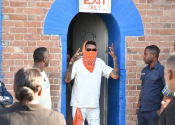 Vybz Kartel, born Adidja Palmer in Kingston, Jamaica, emerged as a central figure in the dancehall and reggae music scenes, renowned for his distinctive style and controversial lyrics.