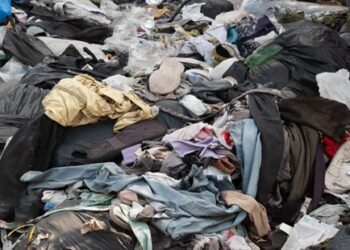 'Ban importation of broni wawu'- Group urges gov't 