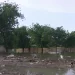 Prisoners flee after Nigeria floods damage jail