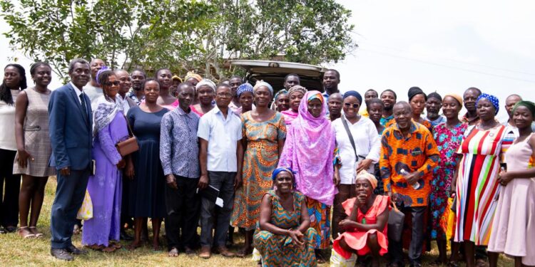 UCC School of Sustainable Engineering holds Workshop on the Cassava post-harvest chain