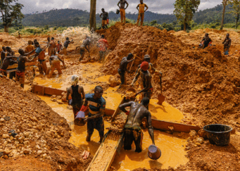 The Peasant Farmers Association of Ghana (PFAG) is calling on the government to implement a ban on illegal mining, commonly known as “galamsey,” to avert a potential generational food and nutrition crisis.