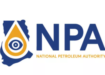 NPA sets new price floors for petrol and diesel to combat undercutting