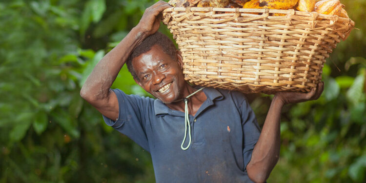 farmers-day-awardees-deserve-ongoing-support-prof-eghan-ucc