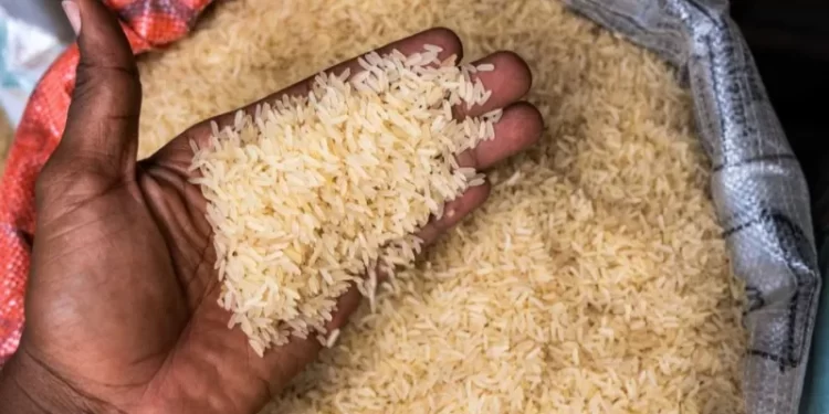 Another deadly crush in Nigeria at event offering free food
