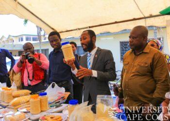 The Department of Crop Science at the University of Cape Coast (UCC), in collaboration with the Ghana Atomic Energy Commission and International Institute of Tropical Agriculture (IITA), has unveiled four new yellow-fleshed cassava varieties.