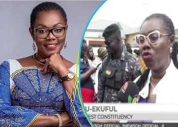 The Food Was For Our Party Agents- Ursula Owusu