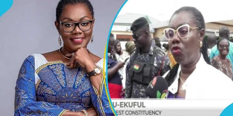 The Food Was For Our Party Agents- Ursula Owusu