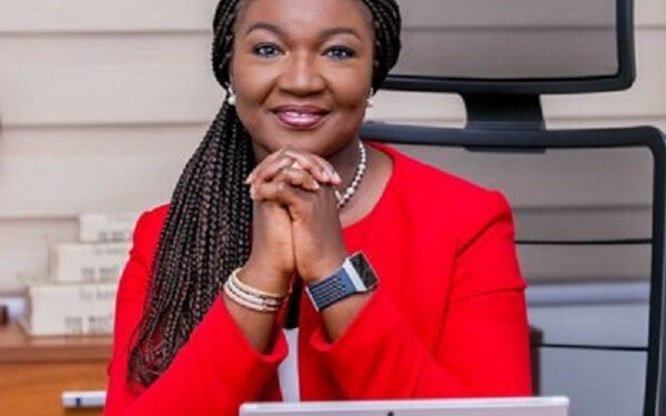 Nana Yaa Jantuah, Joyce Bawah Mogtari, Seth Tekpor Among Key Presidential Appointments