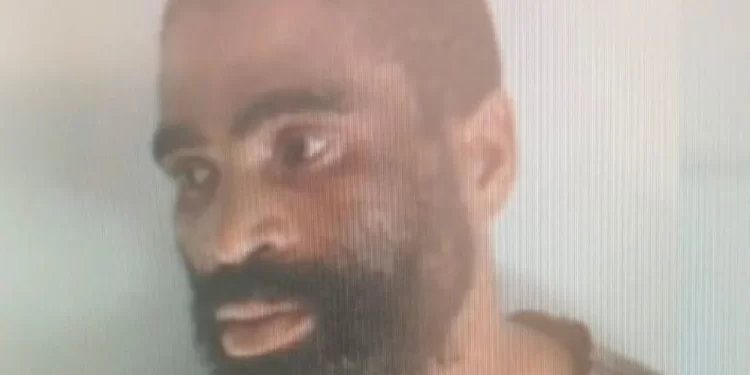 South Africa police launch manhunt for illegal mining 'kingpin'