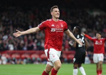 Wood Reveals Forest's Secret to Success