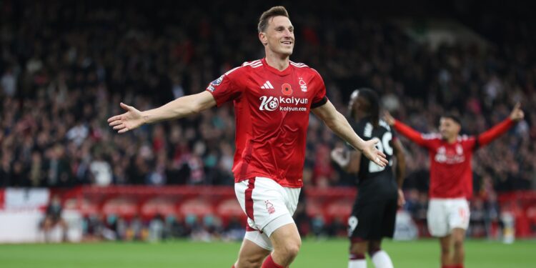 Wood Reveals Forest's Secret to Success