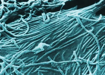 Nurse dies as Uganda confirms new Ebola outbreak