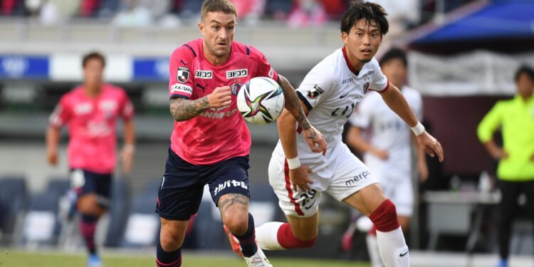 Perfect Stepping Stone to Europe