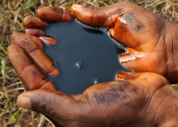 oil-clean-up-scam-warnings-ignored-by-shell-whistleblower-tells-bbc