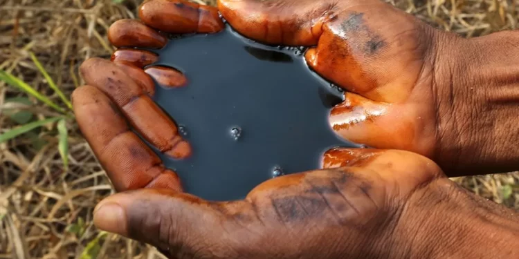 oil-clean-up-scam-warnings-ignored-by-shell-whistleblower-tells-bbc