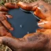 oil-clean-up-scam-warnings-ignored-by-shell-whistleblower-tells-bbc