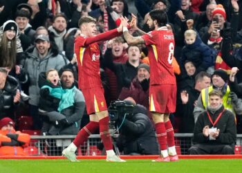 Tottenham's Cup Dreams Shattered