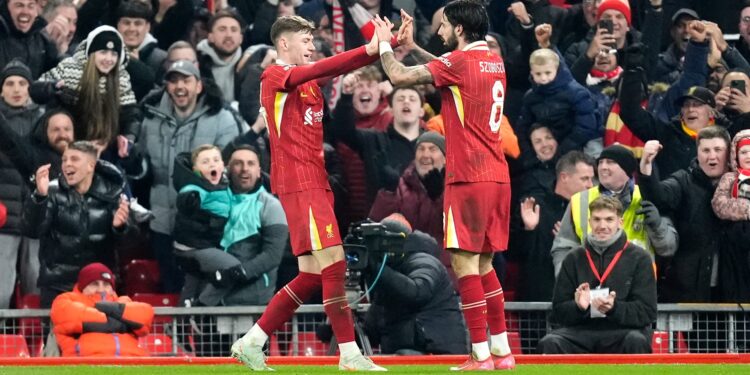 Tottenham's Cup Dreams Shattered