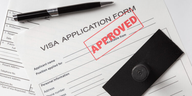 Foreign Affairs Ministry calls for improved treatment of Ghanaians at Visa centres