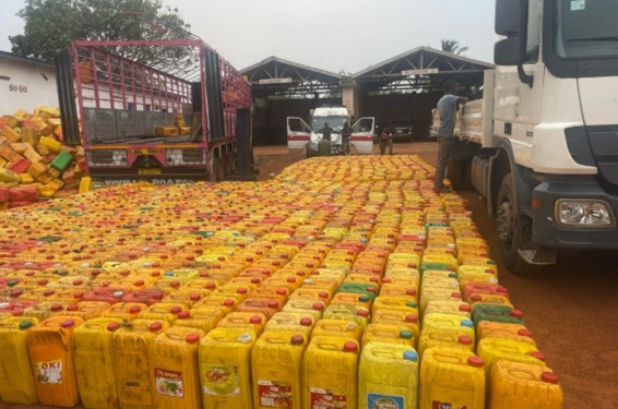 Immigration intercepts truck with 1,115 gallons of smuggled cocoa beans