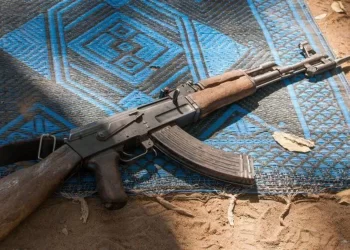 Villagers killed execution-style in Sudan, activists say