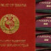 Foreign Affairs Ministry orders return of diplomatic, service passports by March 17