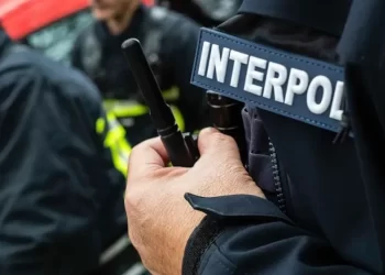 INTERPOL Crackdown: 306 arrested in Africa-wide cybercrime sweep