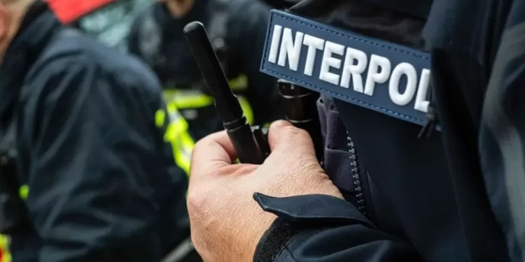 INTERPOL Crackdown: 306 arrested in Africa-wide cybercrime sweep