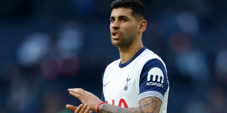 Spurs Star's Nightmare Return to Action