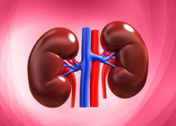 World Kidney Day: 5 Ghanaian Foods to Promote Kidney Health